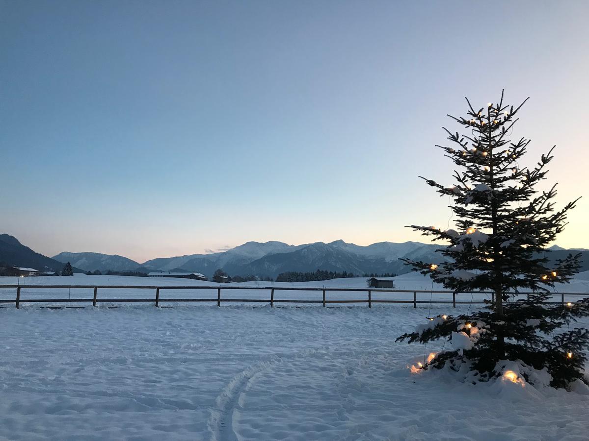 Hotel Landgasthof Alter Wirt Фишбахау Экстерьер фото